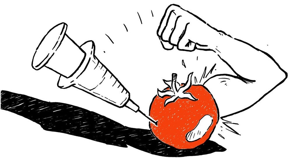 Patent auf "Anti-Matsch-Tomate" (18.11.1994) | Bild: Tobias Kubald