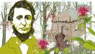 Illustration des Kalenderblatts:David Thoreau zieht in eine Blockhütte | Bild: BR/ Angela Smets
