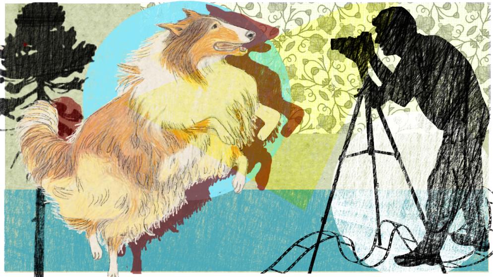 Illustration Kalenderblatt: Eric Knights "Lassie" erscheint | Bild: BR/ Angela Smets