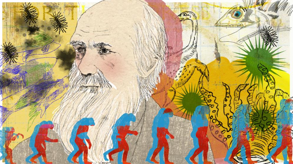 Illustration Kalenderblatt: Darwin spricht zum ersten Mal von Evolution | Bild: BR/ Angela Smets
