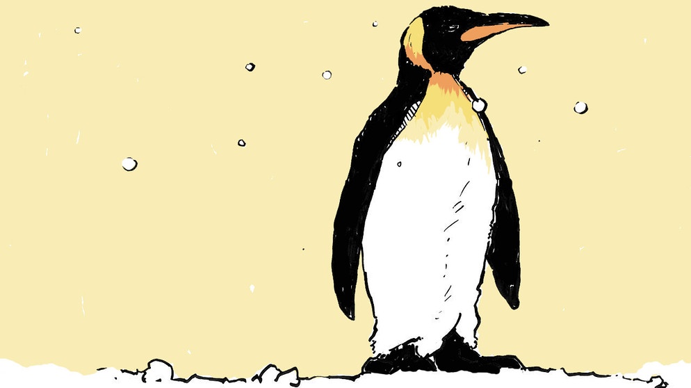 Pinguine: Kuriose Fakten über die lustigen Vögel