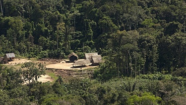 Im Regenwald von Ecuador | Bild: picture-alliance/dpa