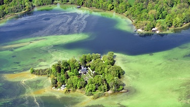 Die Roseninsel im Starnberger See, bei Feldafing | Bild: picture-alliance/dpa/Peter Kneffel