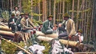 Holzknechte bei der Rast im Walde. Steiermark. Handkoloriertes Glasdiapositiv. Um 1910. | Bild: picture-alliance/IMAGNO/Österreichisches Volkshoc/Anonym