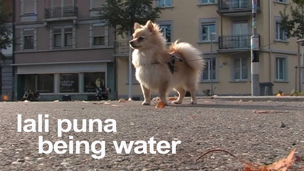 Lali Puna: Being Water | Bild: morrmusic (via YouTube)