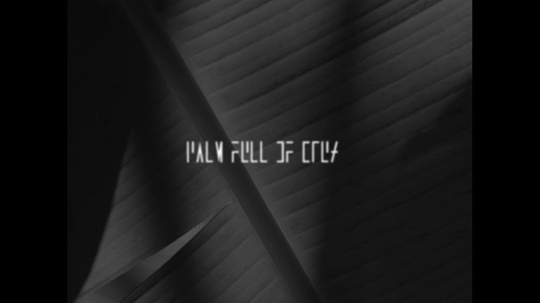 The Mars Volta – Palm Full of Crux (Acoustic) [Visualizer] | Bild: The Mars Volta (via YouTube)