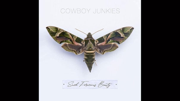 Cowboy Junkies - Such Ferocious Beauty (Full Album) 2023 | Bild: Radiorock TheOriginal (via YouTube)