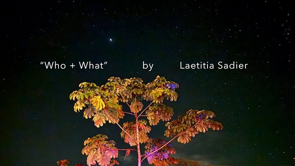Laetitia Sadier " Who + What" (Official Music Video) | Bild: Drag City (via YouTube)