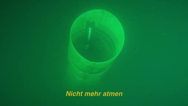 Messer - Taucher (Für Smukal) (Official Video) | Bild: MESSER (via YouTube)