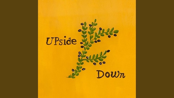 Upside Down | Bild: Erlend Øye - Topic (via YouTube)