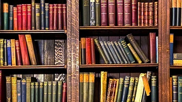 Ein Bücherregal voller alter Bücher | Bild: stock.adobe.com/Ryan