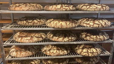 Mehrere Brotlaibe liegen zum Abkühlen auf einem Gestell einer Bäckerei | Bild: BR/ Anna Küch