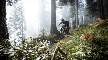 Mountainbike-Unfall am Berg | Bild: BR / Katharina Kestler 