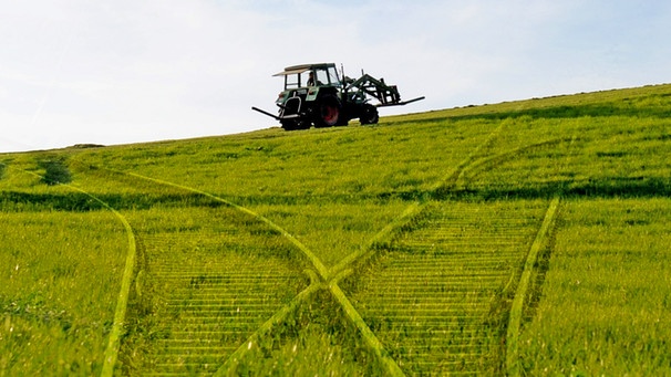 Symbolbild: Weichen für die Zukunft - Landwirtschaft nach der Agrarreform | Bild: picture-alliance/dpa; Montage: BR/Andrea Faltermeier