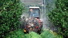 Ein Traktor beim Spritzen von Pestiziden oder Funghiziden auf einer Apfelplantage. (Archivaufnahme 1996) | Bild: picture-alliance/dpa