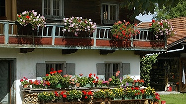 Blumenkästen mit Geranien in Rot und Rosa hängen am Balkon eines Bauernhauses in Bayern: eugen der Vergangenheit - Alten Hof- und Hausnamen auf der Spur. | Bild: picture-alliance/dpa