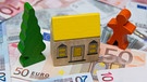 Holzfigur und Spielzeughäuschen auf Euroscheinen | Bild: dpa-Bildfunk