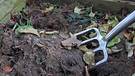 Ein Komposthaufen wird umgesetzt | Bild: picture-alliance/dpa
