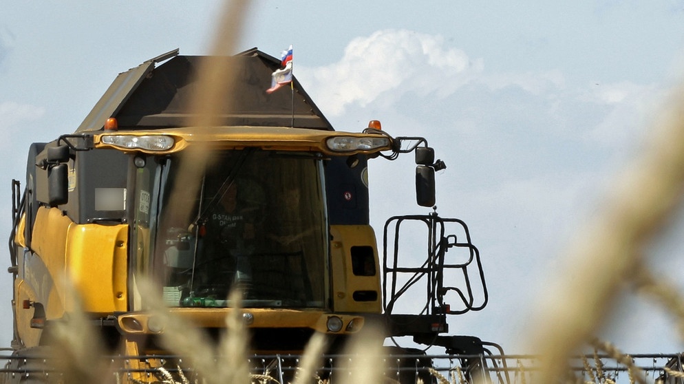 Getreideernte in Russland | Bild: picture-alliance/dpa
