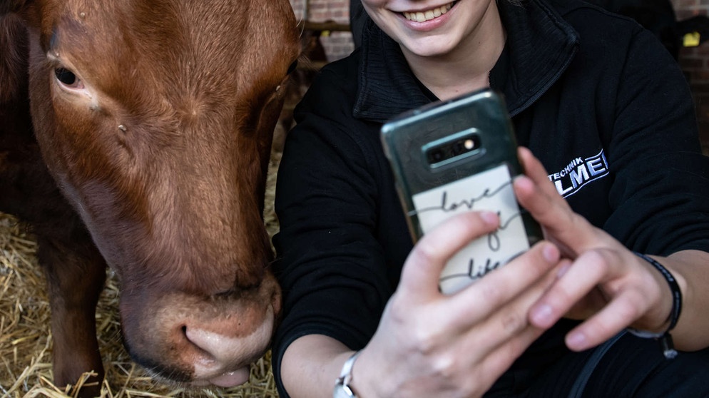 Influencerin mit Kuh in einem Stall hält ein Mobiltelefon in der Hand (Symbolbild) | Bild: picture-alliance/dpa/Swen Pförtner