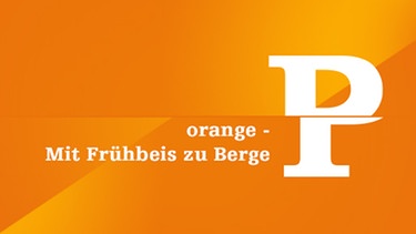orange - Mit Frühbeis zu Berge - P | Politik | Bild: Bayern 2