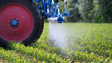 Ein Traktor bringt Spritzmittel aus | Bild: dpa-Bildfunk/Sven Simon/Frank Hörmann