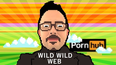 Grafik zu Wild Wild Web - Der Pornhub-Effekt | Bild: BR