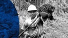 Das Beitragsbild des ARD Radiofeature "Auf der Ölspur - Doku über die nachhaltige Produktion von Palmöl" zeigt die Palmöl Produktion in Malaysia. | Bild: Michael Gleich