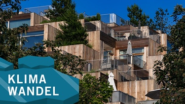 Die Fassaden des "79 & Park" in Stockholm sind aus Holz. Das Gebäude ist aber kein „Bauhaus der Erde“-Projekt. | Bild: picture alliance / Alexander Farnsworth | Alexander Farnsworth / Montage BR