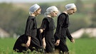 Three Amish girls walk through a field on their way to a prayer service in Nickel Mines, PA, USA. | Bild: picture alliance / abaca | Philadelphia Inquirer/TNS/ABACA