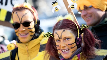 Teilnehmer einer Demonstration stehen als Bienen verkleidet vor dem Landtag in München (2019) | Bild: picture alliance/dpa | Sven Hoppe