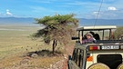 Eindrücke aus der Serengeti und dem Ngorongo-Krater in Tansania | Bild: BR/Till Ottlitz