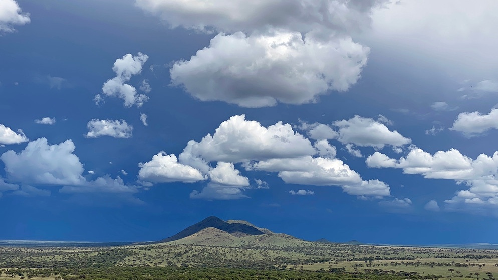 Eindrücke aus der Serengeti und dem Ngorongo-Krater: der weite Himmel über der Serengeti | Bild: BR/Till Ottlitz