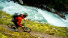 Ein Mountainbiker in voller Fahrt | Bild: picture alliance / All Canada Photos | Steve Ogle