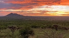 Sonnenuntergang im Serengeti National Park | Bild: BR / Till Ottlitz
