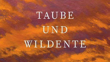 Martin Mosebach: Taube und Wildente | Bild: dtv