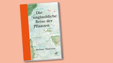 Buchcover: Stefano Mancuso: "Die unglaubliche Reise der Pflanzen"
| Bild: Cover: Klett-Cotta Verlag