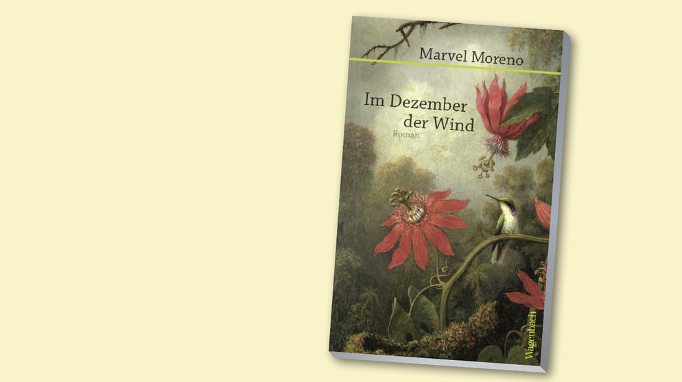 Marvel Moreno: Im Dezember der Wind | Bild: Verlag Klaus Wagenbach