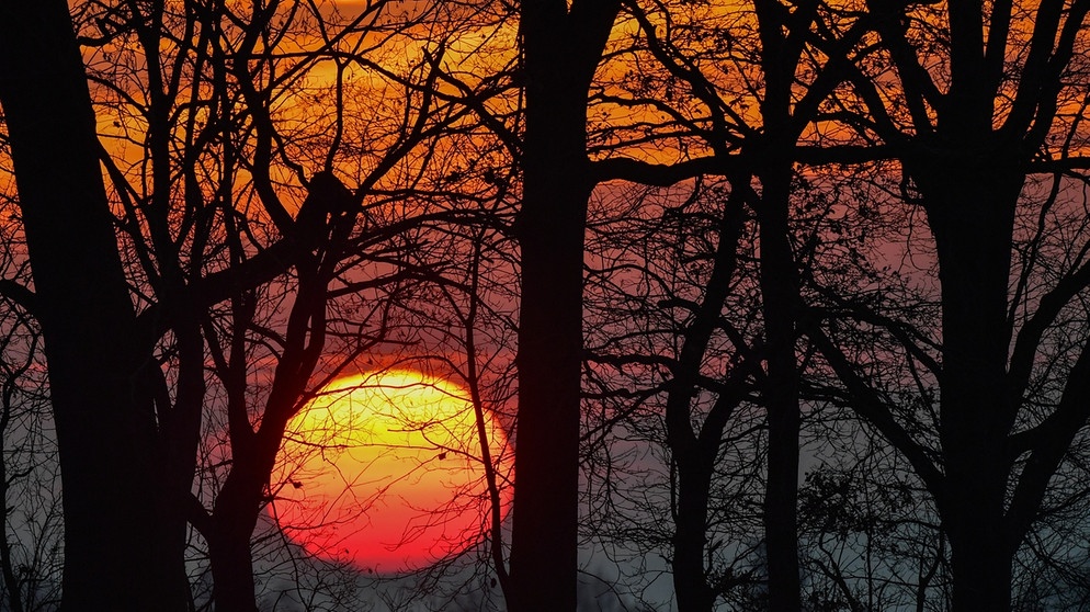 Farbenprächtig versinkt die Sonne am 21.12.2016, dem kürzesten Tag des Jahres, hinter kahlen Bäumen auf einem Feld in Sieversdorf (Brandenburg). Am 21. Dezember ist Wintersonnenwende, ab jetzt werden die Tage wieder länger und die Nächte kürzer.  | Bild: picture-alliance/dpa