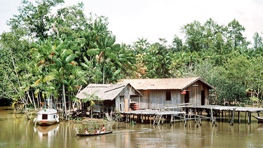 Behausung an einem Arm des Amazonas | Bild: picture-alliance/dpa