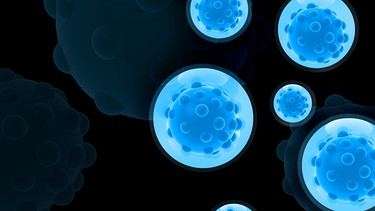 Darstellung: Bakterien | Bild: colourbox.com