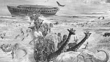Illustration "Arche Noah" | Bild: Scherl/ Süddeutsche Zeitung Photo