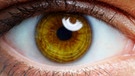 Auge | Bild: colourbox.com