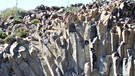 Basalt | Bild: picture-alliance/dpa