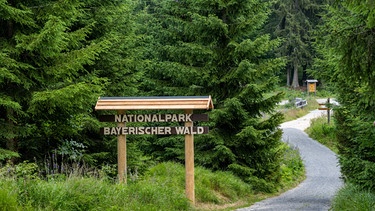 Nationalpark Bayerischer Wald steht auf einem Schild an der Erweiterung des Parks. | Bild: picture alliance/dpa | Armin Weigel