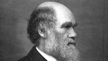 Charles Darwin | Bild: picture-alliance/dpa