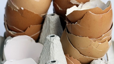 Eine Eierschachtel mit leeren Eierschalen | Bild: colourbox.com