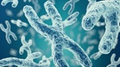 3D Illustration von X-Chromosomen. | Bild: colourbox.com