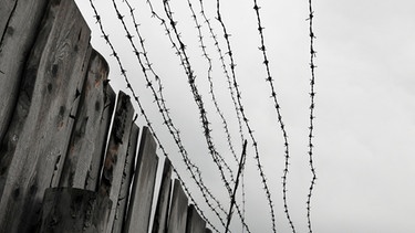 Stacheldraht an einem Straflager in der Sowjetunion | Bild: picture-alliance/dpa
