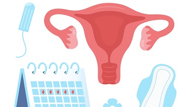 gezeichnete Gebärmutter mit Eierstock, Kalender, Menstruationsprodukte | Bild: dpa-Bildfunk